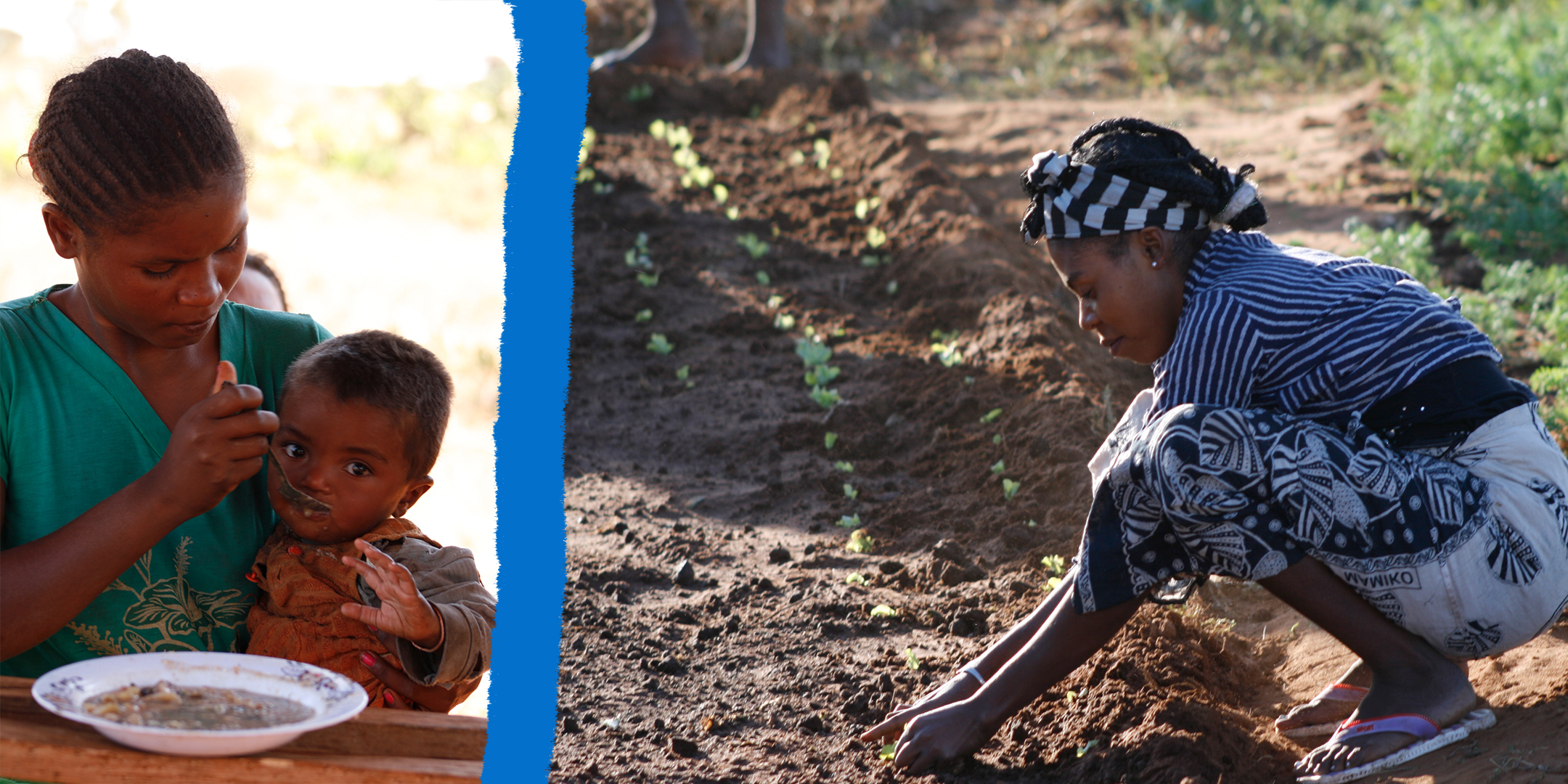 image domaine d'intervention